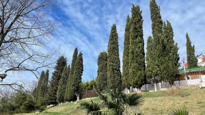 Прогулка по территории санатория Семашко в Сочи. #сочи #санаторийсемашко #логвиновмихаил