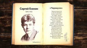 Сергей Есенин — Черемуха. Слушать стихи для детей
