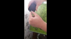 Аэрлифтный фильтр для аквариума.АЭРО-фильтр.