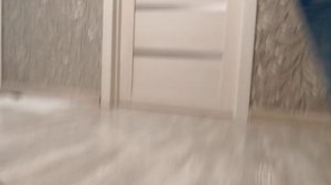 Первые дни щенка дома. Дрессировка щенка