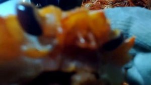 сртм ямато промысел краба