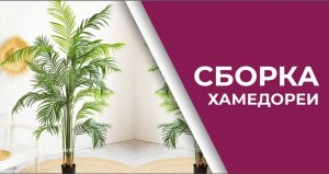 Как собрать искусственную Пальму Хамедорею