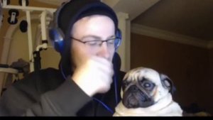 Мопс Мойша умный