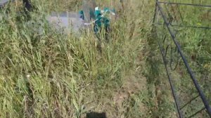 Уборка и благоустройство могил