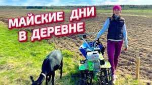Сажаем картошку. Птичий рай. Спасение и лечение индюшат | Молодая Ферма
