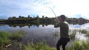 Фидерная рыбалка. Лещ на фидер. Западная Двина.