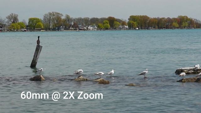 Unleash Creativity With Sony Zv-e1: A Compact Zoom Lens For Stunning Vlogs! смотреть онлайн