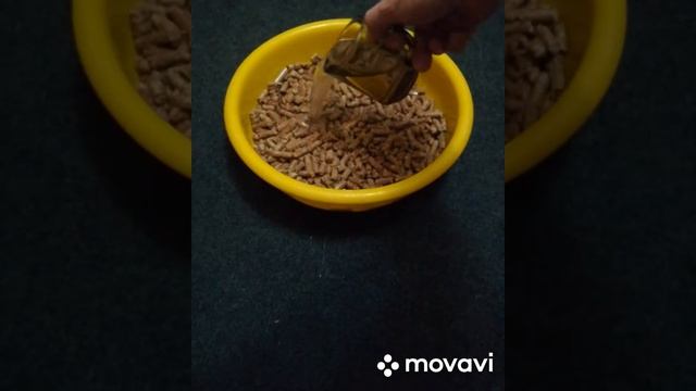 Древесный наполнитель кошачьего туалета смотреть онлайн