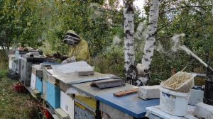 Пчёл готовлю к зимовке. Кормление  сиропом. Закормка пчёл в зиму. #пчеловодство #пчёл #зимовка_пчёл