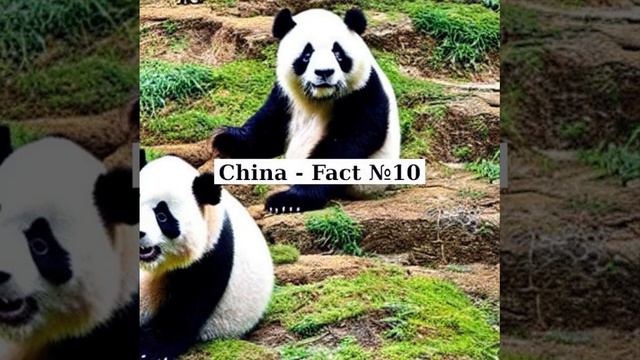 China - Fact №10 смотреть онлайн
