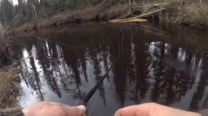 Октябрьский ХАРИУС. Новые места! Рыбалка в КОМИ!