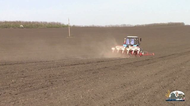 Сеем подсолнух на Мтз 1025 и Cansa 900r ,Mtz82+2Pts6