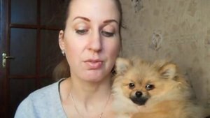 Какие прививки надо делать щенку ?