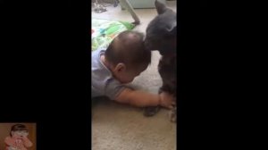 Кошки ухаживают за детьми. кошки ухаживают за детьми