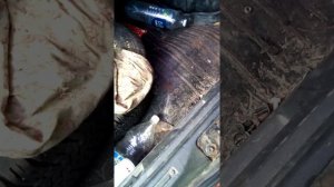 Нормальный багажник Ваз2109