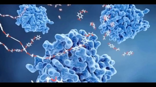 ПЛОХОЕ ПИЩЕВАРЕНИЕ ЧТО ДЕЛАТЬ | Нужно ли пить ферменты если кажется что пища плохо переваривается смотреть онлайн