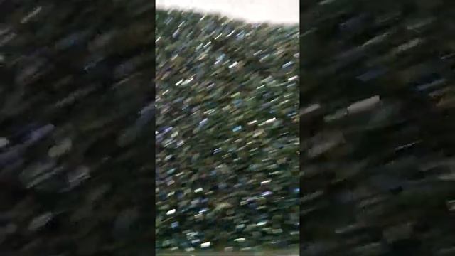 Бисер-рубка "Toho" 15/0, цвет радужный "Тёмно-зелёный"