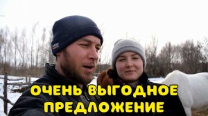 ВЫГОДНЕЕ ПРЕДЛОЖЕНИЯ НАМ ЕЩЕ НЕ ПОСТУПАЛО. ЖИВОТНЫХ СТАЛО ЕЩЕ БОЛЬШЕ. КУПИЛИ ДОМ В ДЕРЕВНЕ