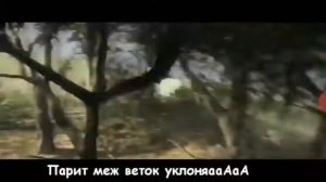 Песни Про Ассасинов!!!!!!!