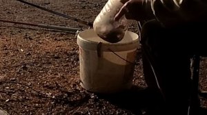 как сохранить червя в жару на рыбалке и в гараже