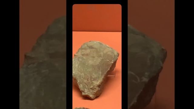 Урарту. История и искусство. Рассказывает Мария Киселёва. Прямые эфиры Эрмитажа.