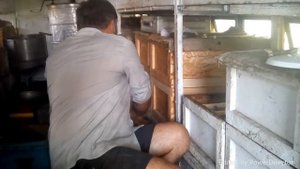 Качаем мёд с горчицы в контрольной пчелосемье