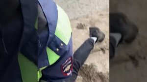 Жесткое задержание сотрудниками ДПС