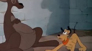 Плуто в зоопарке   Pluto at the Zoo  Disney cartoons  Мультфильмы для детей