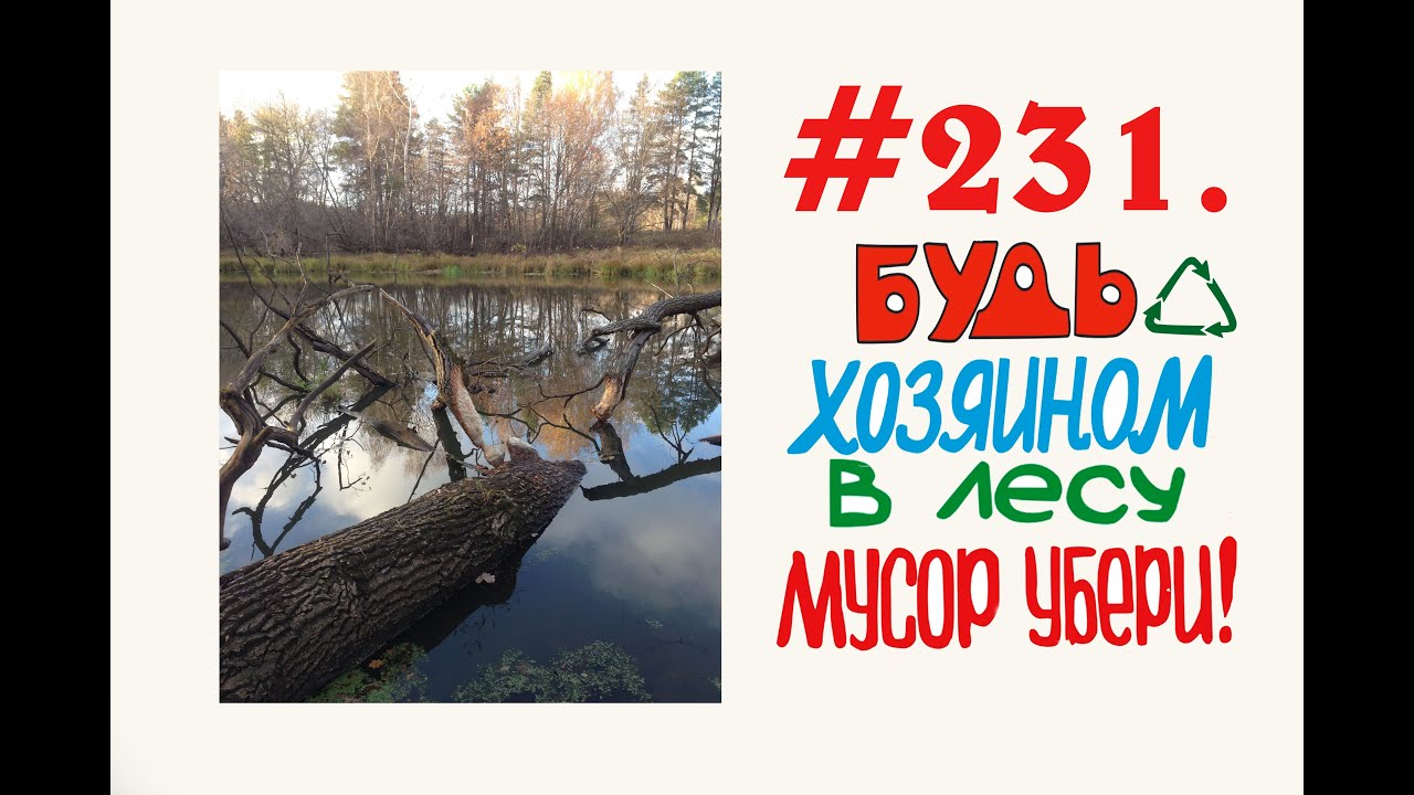 Орехово-Зуевский Округ прогулка в лесу _ контроль чистоты  #231.mp4