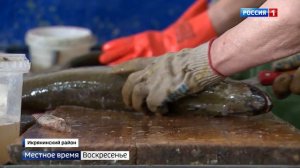 В Астрахани начался весенний промышленный лов рыбы