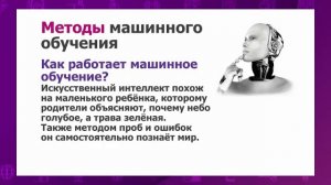 Информатика. 10 класс. Принципы машинного обучения /07.04.2021/