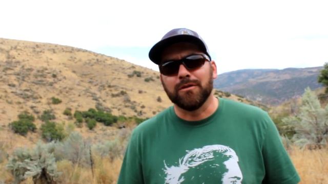 Wolf Hybrids. Good Pets? смотреть онлайн