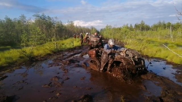 Трофи рейд Болотная выпь. Часть 3. Болото Великий мох. смотреть онлайн