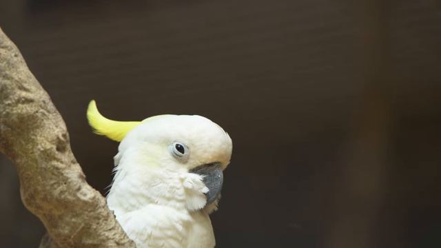 Okean video #water #chillout #relax #relaxing #sleep #sleepvideo #tsunamitsar #bass #mir смотреть онлайн