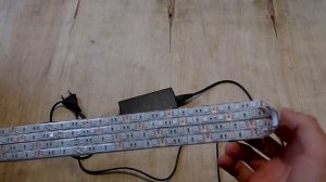 Рассада перца / Когда высаживать и как выращивать рассаду перца