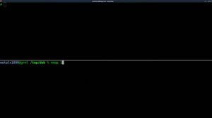 05 Wansview IPCAM Dropbear SSH Linux Tutorial