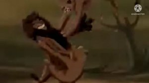 Дочь Муфасы/ часть 11/ Финал/ Король лев