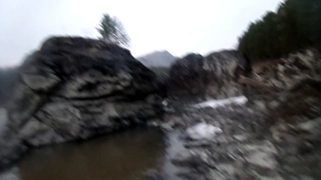 Прогулка на берегу под пение птиц смотреть онлайн