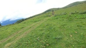 Мега выезд - 40 эндуристов на гору Дженту июль 2024