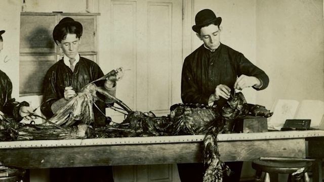 Как грабитель Дикого Запада стал парой ботинок смотреть онлайн