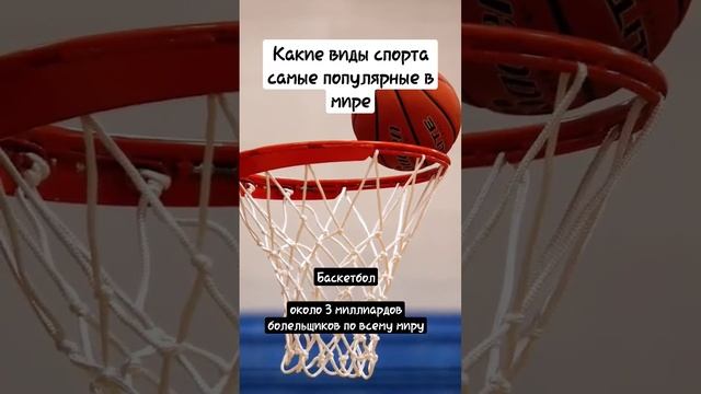 Какие виды спорта самые популярные в мире? #shorts #sport #спорт