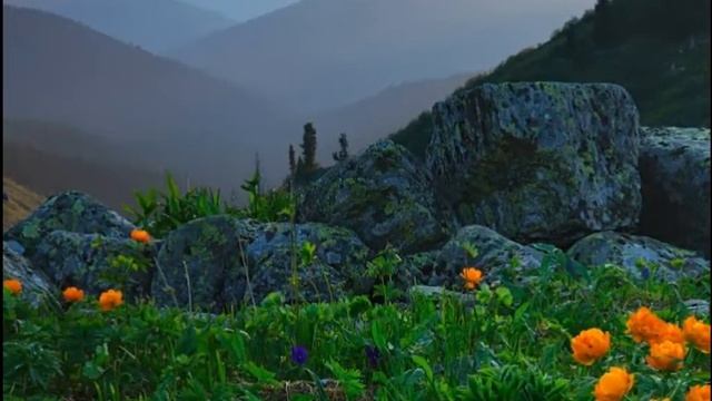 Прекрасная медитативная мелодия. Отдых для души и сердца. смотреть онлайн