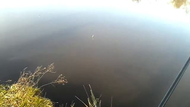 Рыбалка в Пинске + Паратрайк (аэрошют) над рекой Припять 3.04.2016 Fishing in Pinsk