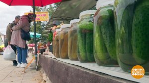 Громче хрусни, огурец! Доброе утро. Фрагмент выпуска от 26.08.2020