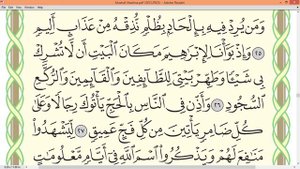 Шейх Айман Сувейд сура 22 Аль Хадж AL Hajj  стр 335