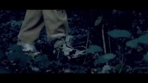 Nolwenn Leroy - Clip "Tri Martolod"