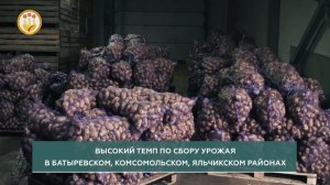 В Чувашии каждую минуту без дождя собирают с полей урожай картофеля, овощей и технических культур