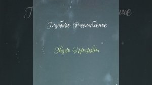 Шум дождя и пение птиц в лесу