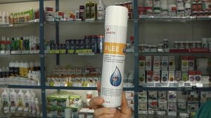 Как избавиться от блох в квартире