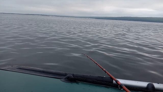 СОМ НА КВОК.УТРО ПОСЛЕ БУРИ.ПОКЛЕВКА СОМА НА ЭХОЛОТЕ LOWRANCE ELITE 5 HDI смотреть онлайн